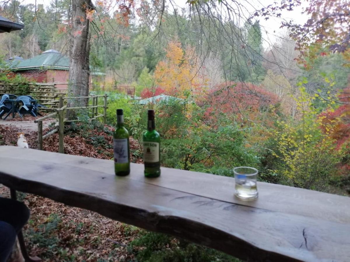 Maple Grove Villa Hogsback Eksteriør bilde
