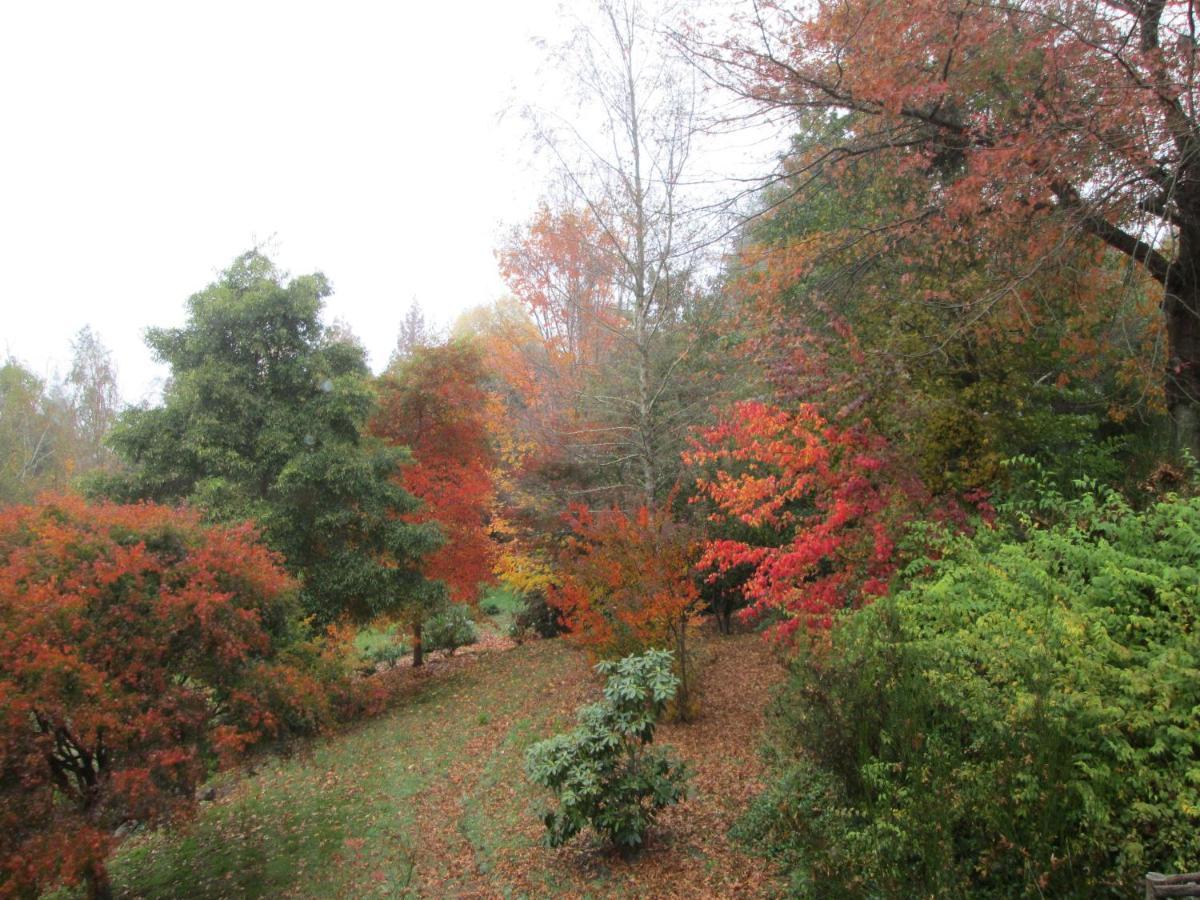 Maple Grove Villa Hogsback Eksteriør bilde