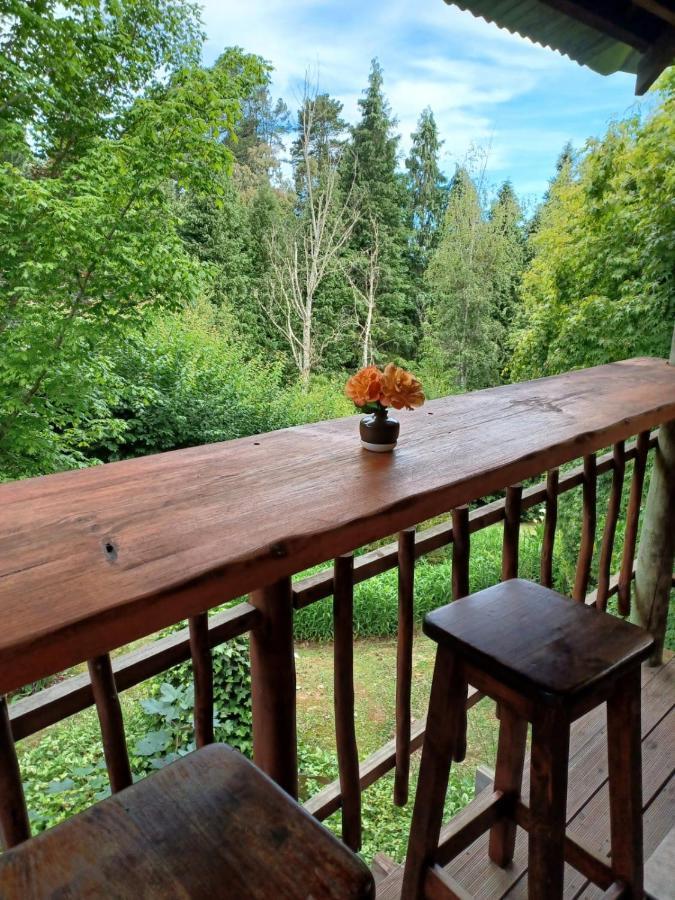 Maple Grove Villa Hogsback Eksteriør bilde