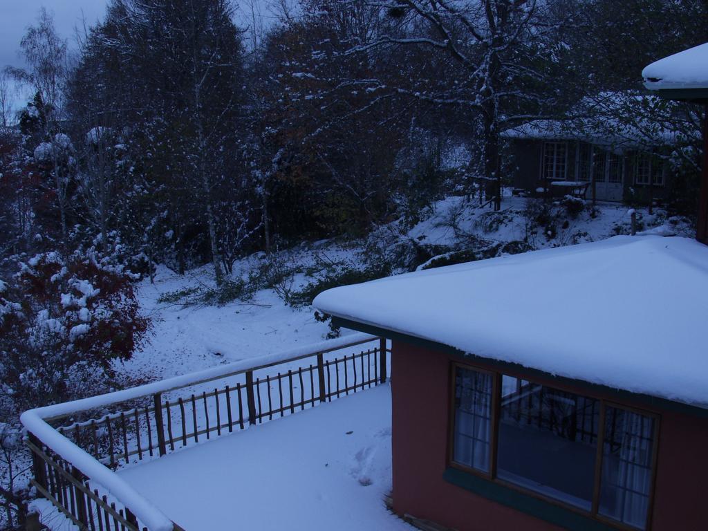Maple Grove Villa Hogsback Rom bilde