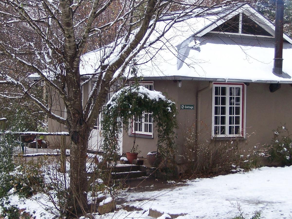 Maple Grove Villa Hogsback Eksteriør bilde