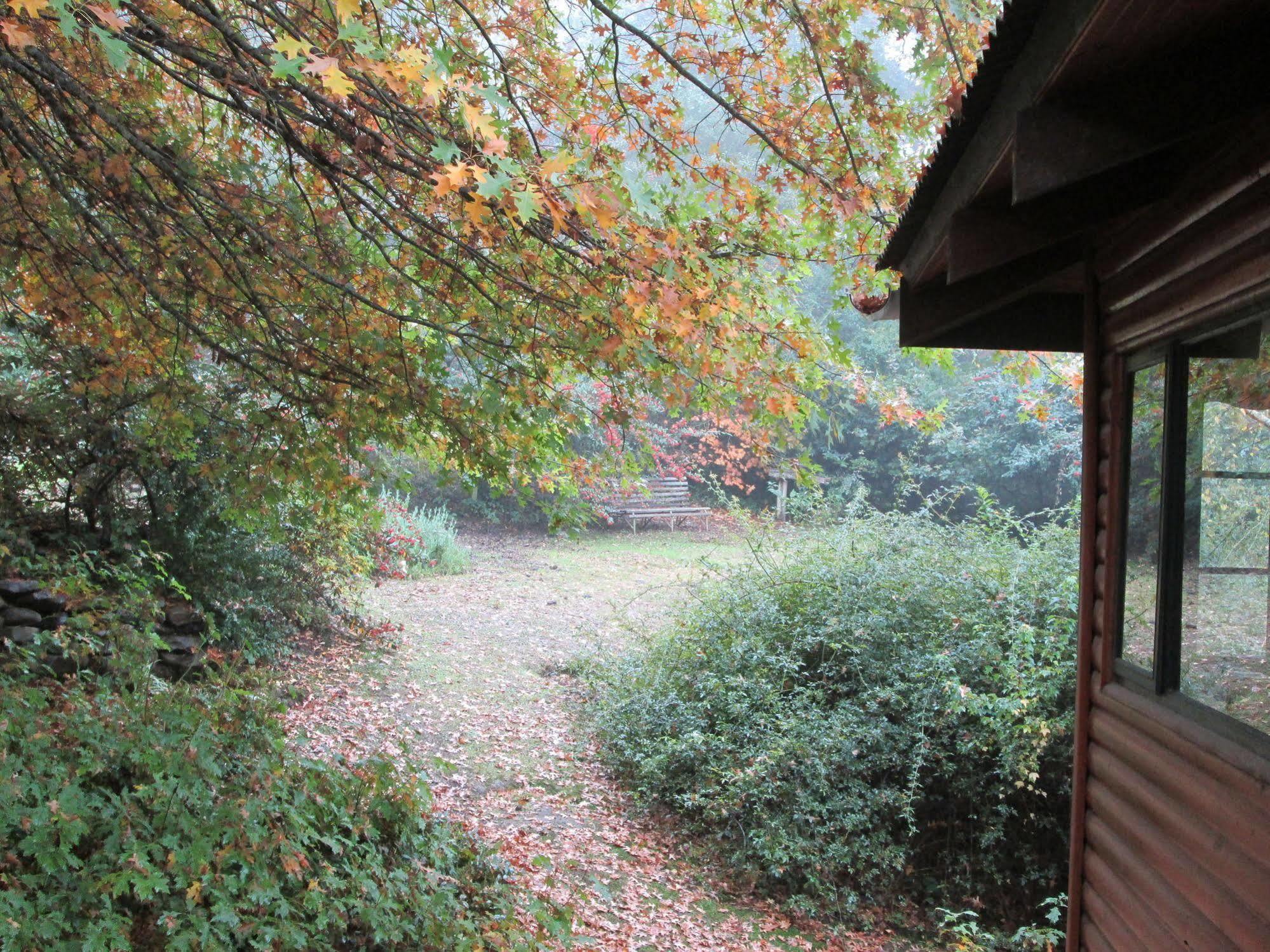 Maple Grove Villa Hogsback Eksteriør bilde