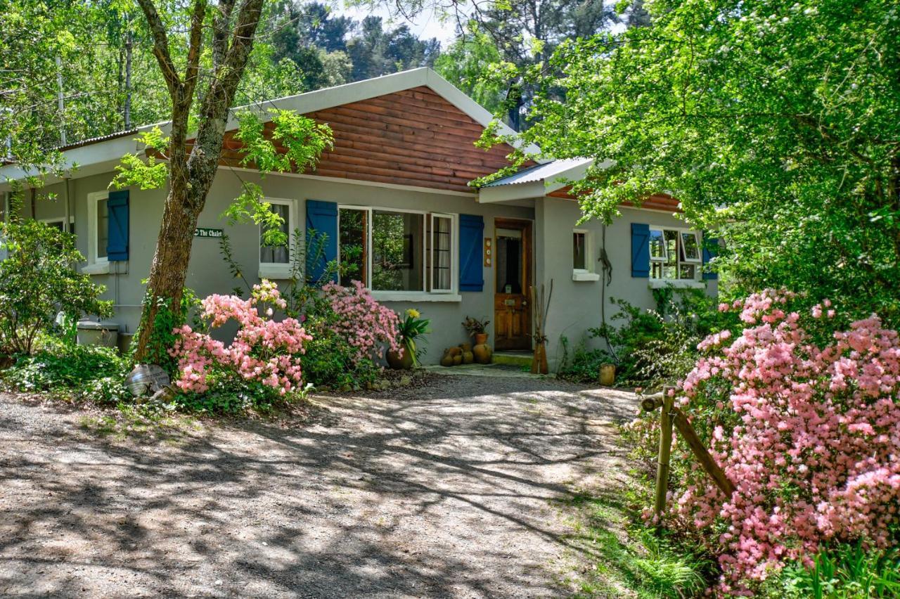 Maple Grove Villa Hogsback Eksteriør bilde