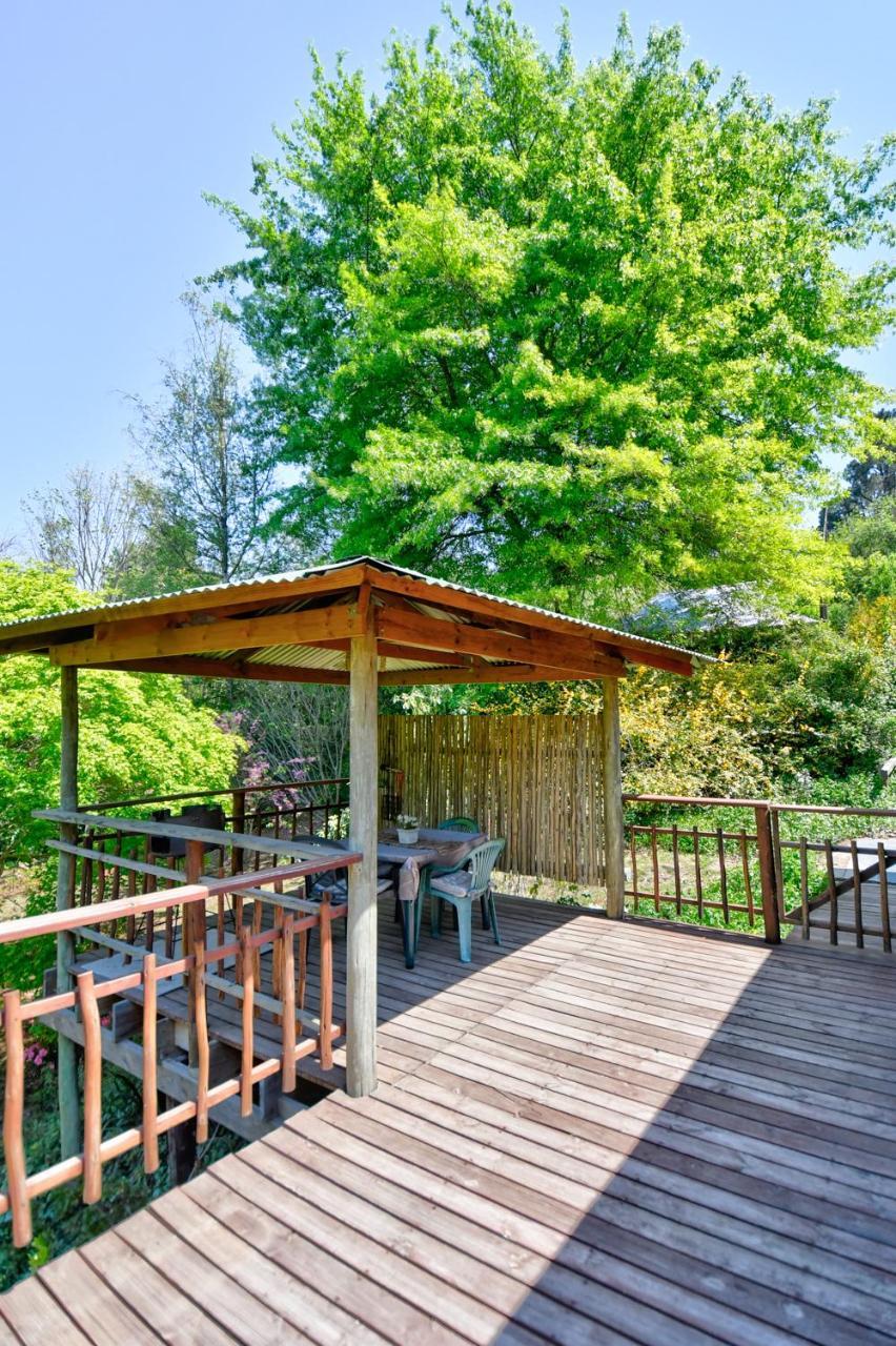 Maple Grove Villa Hogsback Eksteriør bilde